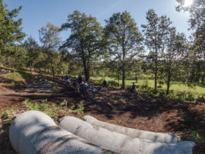 Buse et troncs d'arbre franchissement enduro